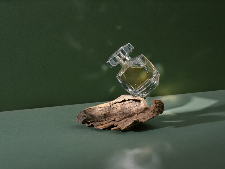 Um frasco de perfume fica sobre um pedaço de madeira natural sobre um fundo verde com sombras.
