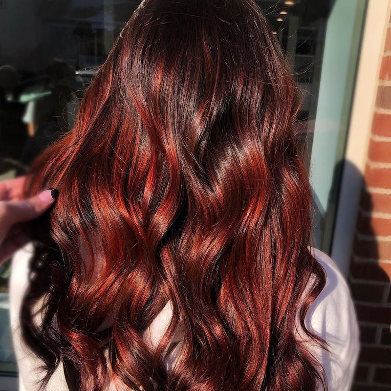 A parte de trás dos longos cabelos escuros com brilho vermelho-rubi