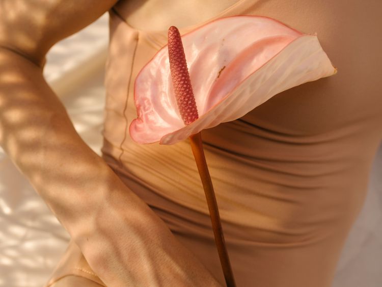 Uma mulher de roupa íntima neutra possui uma flor rosa
