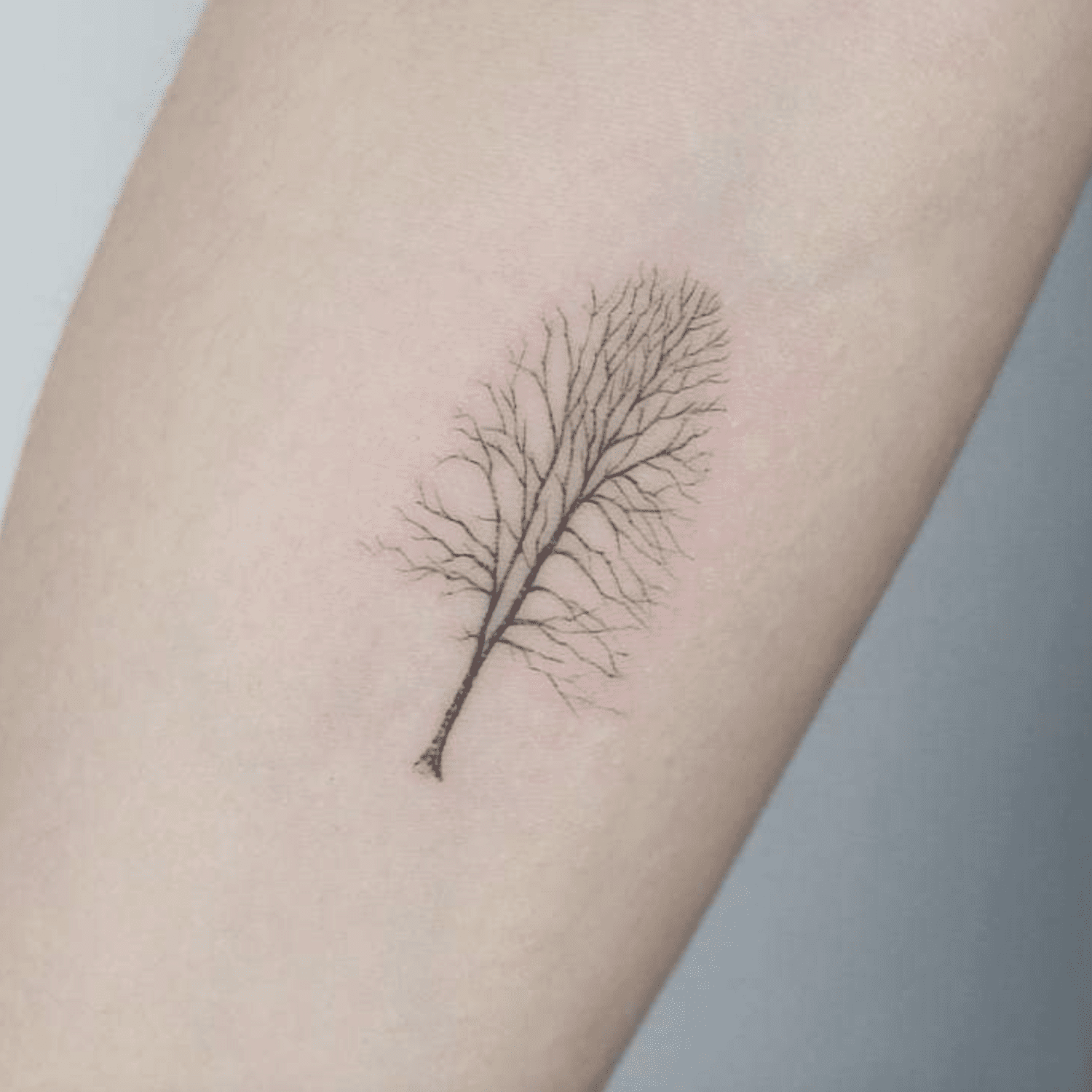 Tatuagem de árvore nua no antebraço