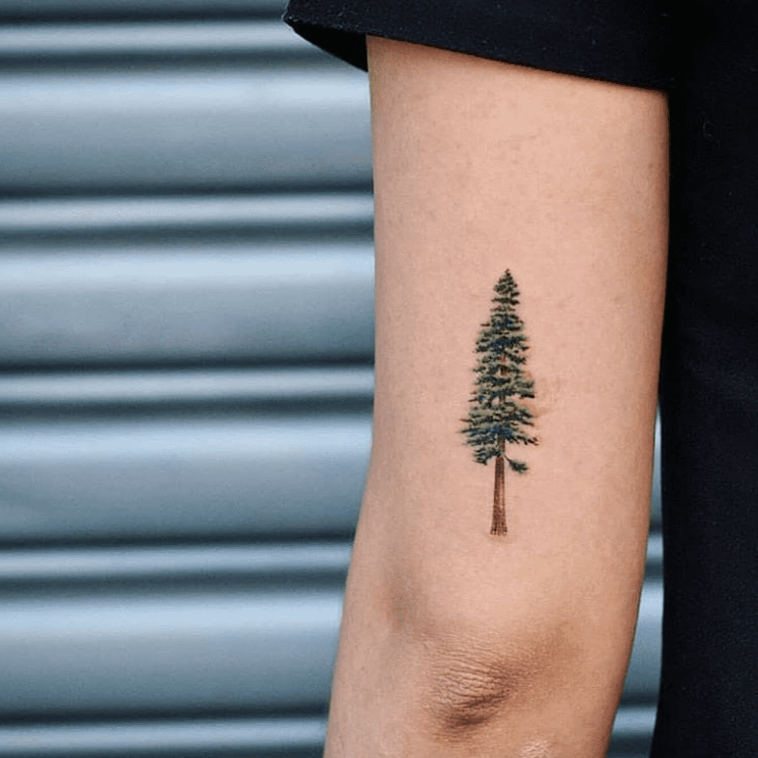 Tatuagem colorida de pinheiro na parte de trás do bíceps