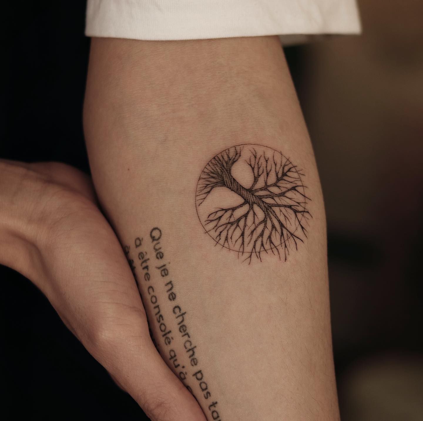 Close de uma tatuagem de árvore em círculo