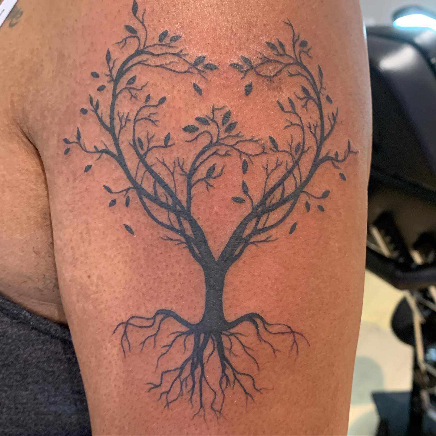 Close de tatuagem de árvore no braço